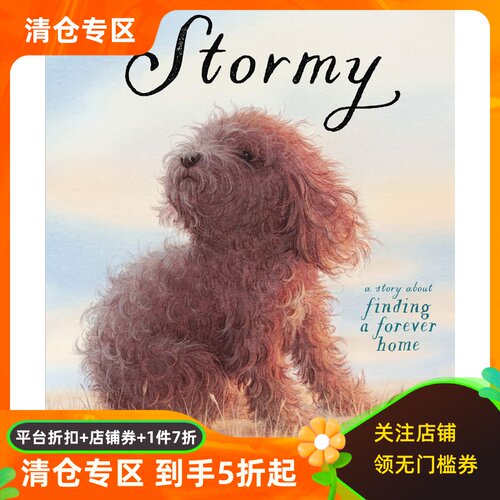 暴风雨寻找一个永远的家