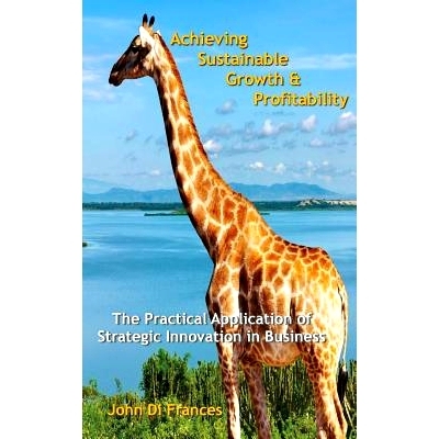 预订 Achieving Sustainable Growth & Profitability: The Practical Application of Strategic Innovation in Business: 978097