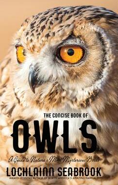 [预订]The Concise Book of Owls: A Guide to Nature’s Most Mysterious Birds 9781943737802
