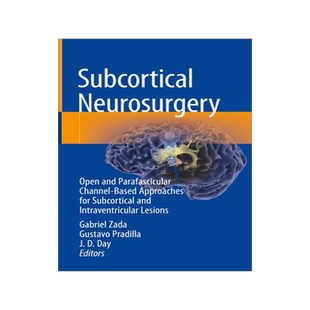 [预订]Subcortical Neurosurgery 9783030951528