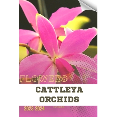 预订 Cattleya Orchids: Become flowers expert: 9798876813282