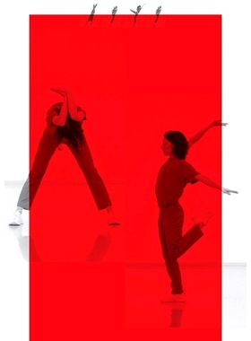 预订 Character: Femke Gyselinck and Joris Kritis 角色：费姆克·吉塞林克和乔里斯·克里蒂斯: 9783753304991