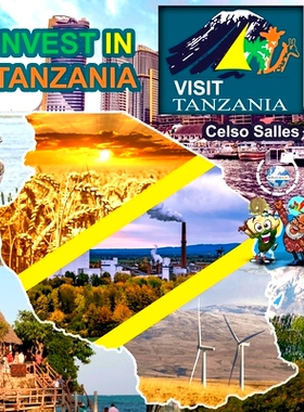 预订 INVEST IN TANZANIA - Visit Tanzania - Celso Salles: Invest in Africa Collection: 9798211678118