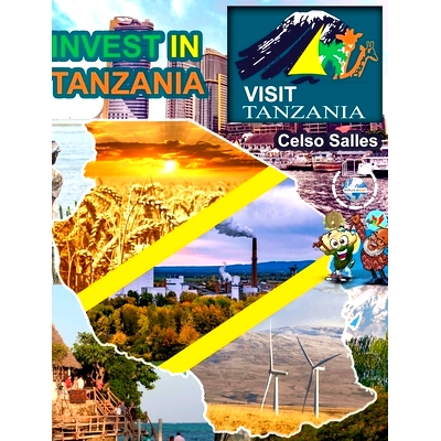 预订 INVEST IN TANZANIA - Visit Tanzania - Celso Salles: Invest in Africa Collection: 9798211678118