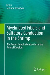 【预订】Myelinated Fibers and Saltatory Conduction in the Shrimp