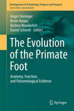 【预订】The Evolution of the Primate Foot 9783031064357
