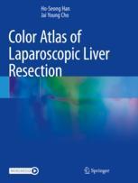 【预订】Color Atlas of Laparoscopic Liver Resection 9789811615481