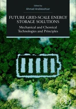 [预订]Future Grid-Scale Energy Storage Solutions 9780323907866