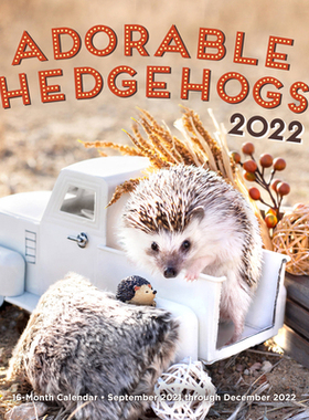 【预订】Adorable Hedgehogs 2022: 16-Month Calendar - September 2021 Through December 2022 9781631067723