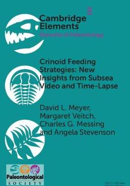 预订 Crinoid Feeding Strategies: New Insights From Subsea Video And Time-Lapse