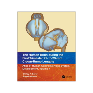 [预订]The Human Brain during the First Trimester 21- to 23-mm Crown-Rump Lengths 9781032219301
