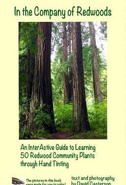 [预订]In the Company of Redwoods: An InterActive Guide to Learning 50 Redwood Community Plants through Han 9781495106606
