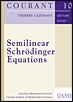 【预售】Semilinear Schr&ouml;dinger Equations