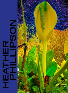 预订 Heather Phillipson 希瑟·菲利普森: 9783791359526