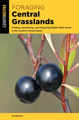 国外库房发货，通常付款后5-8周到货！