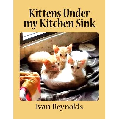 预订 Kittens Under My Kitchen Sink: 9781482855135