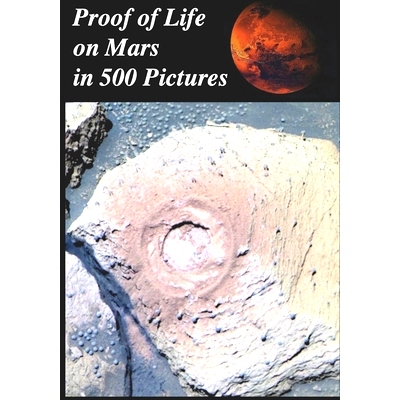 预订 Proof of Life on Mars in 500 Pictures: : Tube Worms, Martian Mushrooms, Metazoans, Microbial Mats, Lichens, Algae,