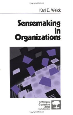【预售】Sensemaking in Organizations
