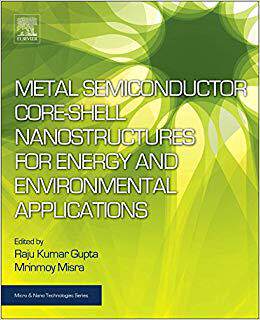 【预售】Metal Semiconductor Core-shell Nanostructures for Energy and Environmental Applications