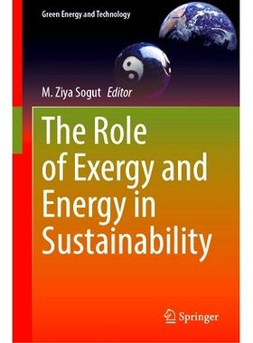 预订 The Role of Exergy and Energy in Sustainability 用能与能源在可持续性中的作用: 9783031898686