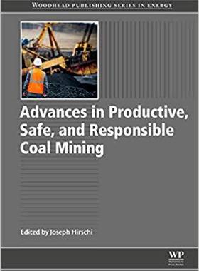 【预售】Advances in Productive, Safe, and Re...