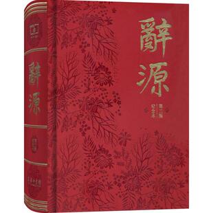 辞源  9787100125604