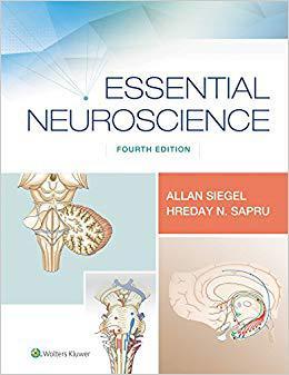 【预订】Essential Neuroscience