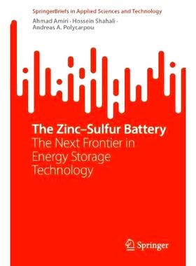 预订 The Zinc–Sulfur Battery: The Next Frontier in Energy Storage Technology 锌硫电池：能源存储技术的下一个前沿: 978303