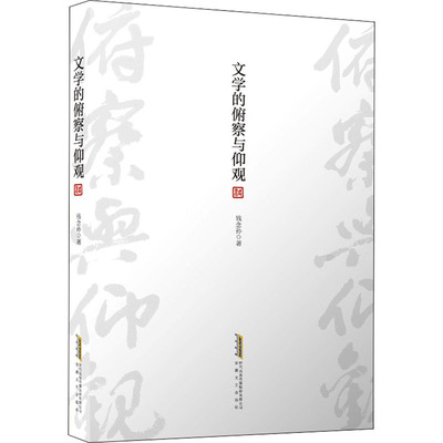 文学的俯察与仰观  9787539673301