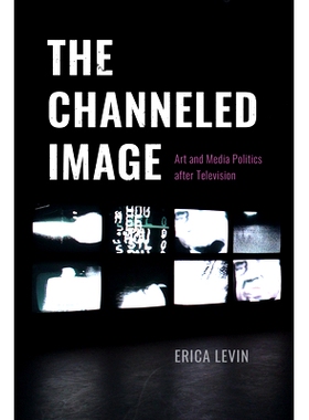 预订 The Channeled Image: Art and Media Politics after Television 引导图像:电视后的艺术与媒体政治: 9780226821955