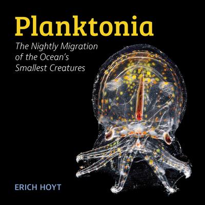 [预订]Planktonia: The Nightly Migration of the Ocean’s Smallest Creatures 9780228103837 书籍/杂志/报纸 科学技术类原版书 原图主图