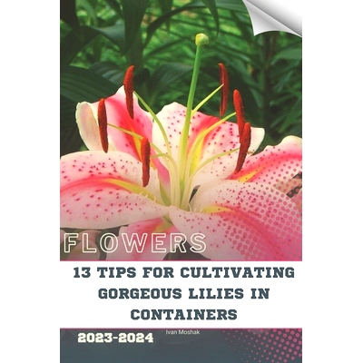 预订 13 Tips For Cultivating Gorgeous Lilies in Containers: Become flowers expert: 9798872028444
