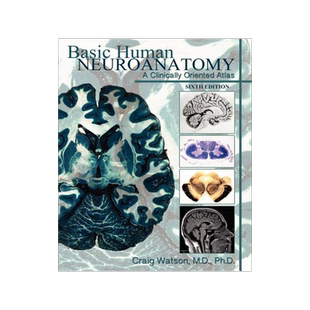 预订 Basic Human Neuroanatomy: A Clinically Oriented Atlas