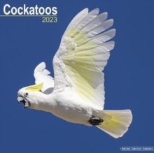 【预订】Cockatoos 2023 Wall Calendar 9781839417863