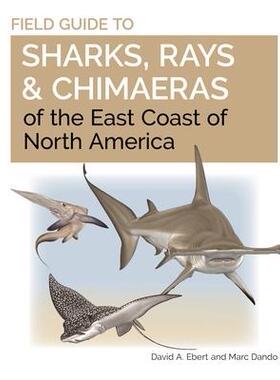 预售 []Field Guide to Sharks, Rays and Chimaeras of the East Coast of North America 9780691206387