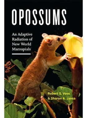 预订 Opossums: An Adaptive Radiation of New World Marsupials 负鼠：新大陆有袋动物的适应辐射: 9781421439785