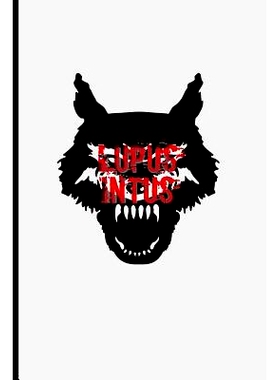 预订 My Latin Vocabulary Book: Lupus Intus - the wolf within you! Vocabulary book for ambitious Latin students: 97817951