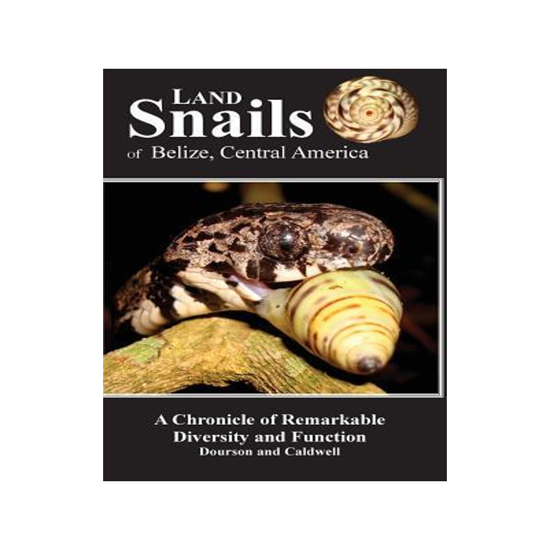 [预订]Land Snails of Belize, Central America: A Remarkable Chronicle of Diversity and Function 9780999802304