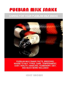 预订 Pueblan Milk Snake: Pueblan Milk Snake Facts, Breeding, Where to Buy, Types, Care, Temperament, Cost, Health, Handl