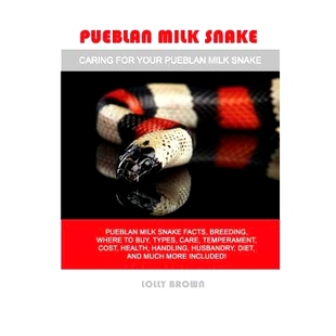 Facts Pueblan Snake Cost Handl 预订 Temperament Breeding Milk Types Buy Where Health Care