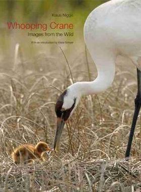 [预订]Whooping Crane: Images from the Wild 9781603442091