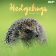 【预订】2023 Hedgehogs Wall Calendar 9781529826296