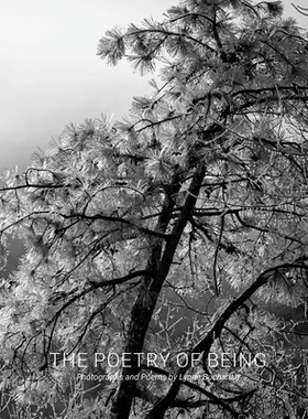 预订 The Poetry of Being: Photographs and Haikus 存在的诗歌：照片和俳句: 9781954119239