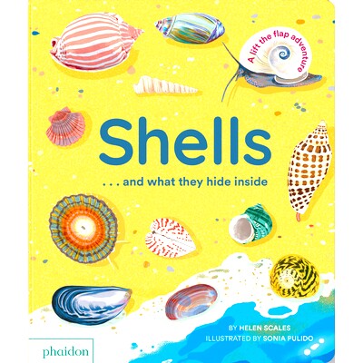 预订 Shells... and what they hide inside: A Lift-the-Flap Adventure 贝壳……以及它们里面隐藏的东西: 9781838667887