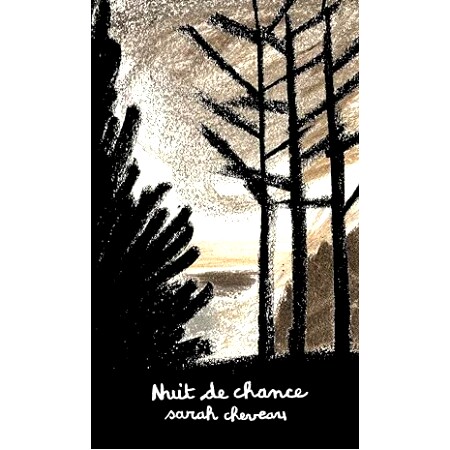 现货 幸运之夜 2024女巫奖作品 Nuit de chance 法国艺术绘本 Sarah Cheveau 法语原版
