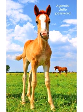预订 Agenda delle password: Agenda degli indirizzi web e delle password di accesso - Copertina tenero puledro: 978154279