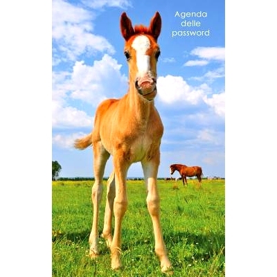 预订 Agenda delle password: Agenda degli indirizzi web e delle password di accesso - Copertina tenero puledro: 978154279