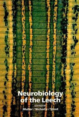 [预订]Neurobiology of the Leech 9781936113095