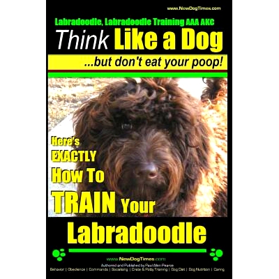 预订 Labradoodle, Labradoodle Training AAA AKC: Think Like a Dog, But Don’t Eat Your Poop! Labradoodle Breed Expert Tra