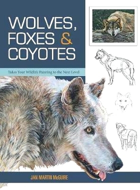 预订 Wolves, Foxes & Coyotes (Wildlife Painting Basics): 9781635610444